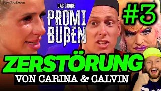 "Frauen SCHULD an D-Pics!" Calvins EKEL-Aussage! Carina KEIN EINSEHEN! Das große Promi-Büßen Folge 3