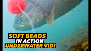 SOFT BEAD FISHING Underwater Footage!)