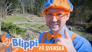 Blippi Svenska | Blippi matar djuren i djurparken | pedagogiska videor för barn