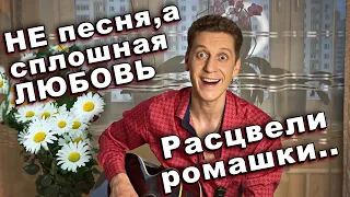 Песня, которая возвращает в лето и молодость. Лето, ромашки и любовь. Расцвели ромашки...