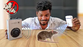 இது எலி வராமல் தடுக்குமா 😱 Rat Killing Device 🐀…. #badcouples #mrsuncity