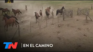 EN EL CAMINO - Caballos de la Argentina (Programa completo del 24/02/23)