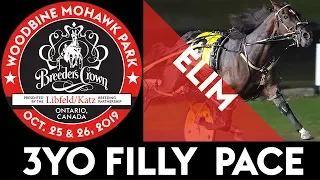 2019 Breeders Crown Elim - Warrawee Ubeaut - 3YO Filly Pace