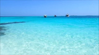 Maldives - private beach shark attack (June 2016)