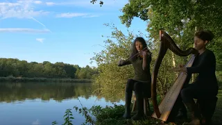 Celtic music: "The Wild Swan", Mathide and Héloïse de Jenlis, harp and violin