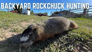 Rockchuck Hunting | Rodent Control with a .22 | Yellow Bellied Marmots