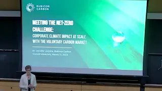 Meeting the Net-zero Challenge: Corporate Climate Impact at Scale With the Voluntary Carbon Market