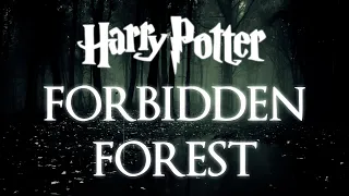 Forbidden Forest | Harry Potter Music and Ambience | Fantasy Worlds