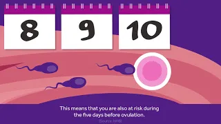 When are you at risk of pregnancy?