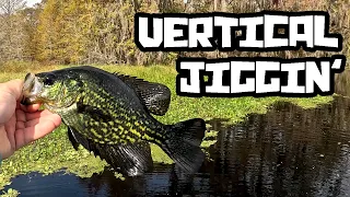 Vertical Jiggin' BIG CRAPPIE with Hair Jigs