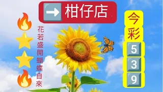 05/23🌻5️⃣3️⃣9️⃣🌻上期2🀄2再🀄2️⃣7️⃣