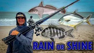 Will Fish Bite in the Rain? - Beach Fishing