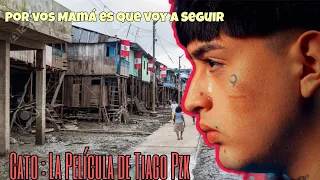 LA INFANCIA DE TIAGO PZK - CATO : Mi Resumen | Netflix | Películas argentinas | El Pibe Roche