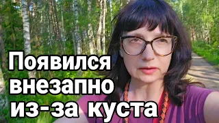 Страх.Бежала из леса быстрее лани