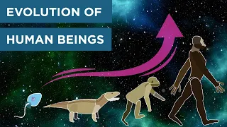 Evolution of Human Beings | Animation
