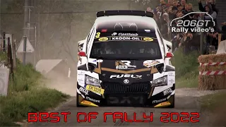 THIS IS RALLY 2022!! __Best of by 206GT Rally video’s