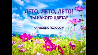 Лето, лето, лето, ты какого цвета? Караоке с голосом