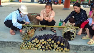 Making pumpkin rigs, bringing chickens & ducks to the market Sell, cultivating sugarcane sprouts