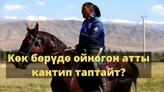 Көк бөрүдө ойногон атты кантип таптайт? / АРГЫМАК