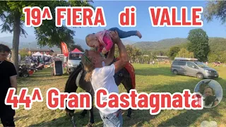 19^FIERA di VALLE & 44^GRAN CASTAGNATA ROCCABRUNA #vallemaira #cuneo #piemonte