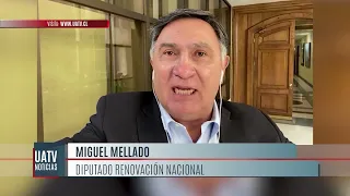 Polémica por "últimatum" de comunidades mapuche a Gobierno para retirar en 6 meses empresas forestal