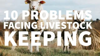 10 PROBLEMS FACING LIVESTOCK KEEPING