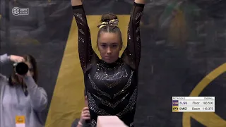 LSU at Missouri 1-26-24 720p60 12685K