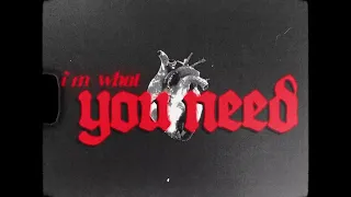 Ashley Sienna - What You Need (Official Sped Up Lyric Video)