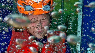 Don't Panic! Marines Underwater Escape Training on Camp Lejeune | MFA