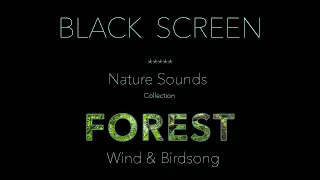 Forest Nature Sounds Birds Singing Black Screen- Relaxing Wind & #birdsounds-Calm Sleeping Sound