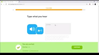 Duolingo French Basics 1 Lesson