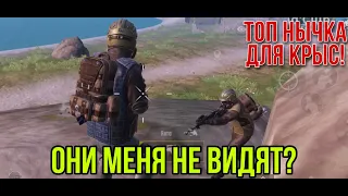 НЫЧКА ДЛЯ КРЫС НА НОВОЙ 5 КАРТЕ В МЕТРО РОЯЛЬ! Pubg metro royale