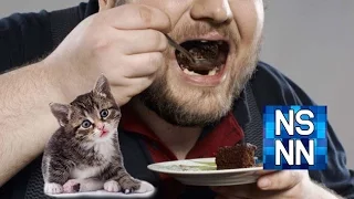 Dad Eats Pot Brownies and Cusses Out Cat