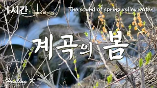계곡의 봄 [물소리]  The sound of spring valley water