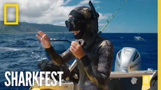 Tagging Tiger Sharks | SharkFest | National Geographic