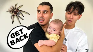 Protecting Our Son From A GIANT SPIDER!