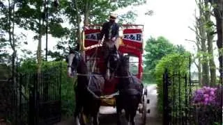 Paarden Koetsentocht in Bergen 1: London General Omnibus Cie Ltd/ Tweede Pinksterdag 2012/ 28 mei