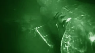 Unidentified Shark - Deepsea Oddities