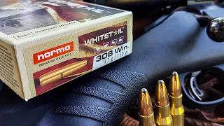 Norma Whitetail 308 | 100 Yard Group Test | Ruger American 308