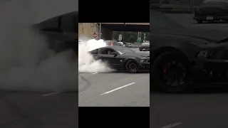 EPIC burnout Shelby GT500 Super Snake !!! #shorts