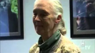 NC NOW | Jane Goodall Archives | UNC-TV