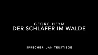 Der Schläfer im Walde - Georg Heym