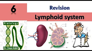 Revision of Lymphoid system-Blood and lymphoid system