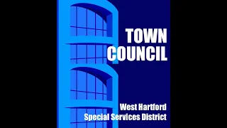 Town Council and Special Services District Public Hearing on the Budget - March 27, 2023