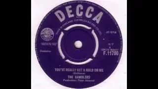 The Gamblers - You've Really Got A Hold On Me (1963)