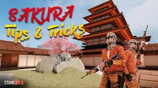 Standoff 2 Tips and Tricks || Sakura