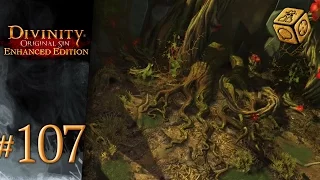 Lost in the Phantom Forest - Let's Play Divinity: Original Sin - Enhanced Edition #107