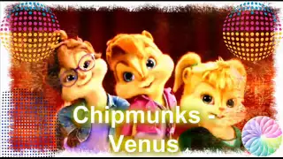 Chipmunks Venus (Lady Gaga)