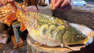 Wonderful Fish Cutting!! Alive Mirror Carp Fish Cutting Skills Live In Bangladesh Fish Market