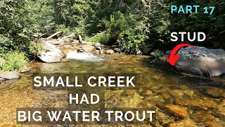 Small Creek had Big Water Trout  /  9week truck camping p17